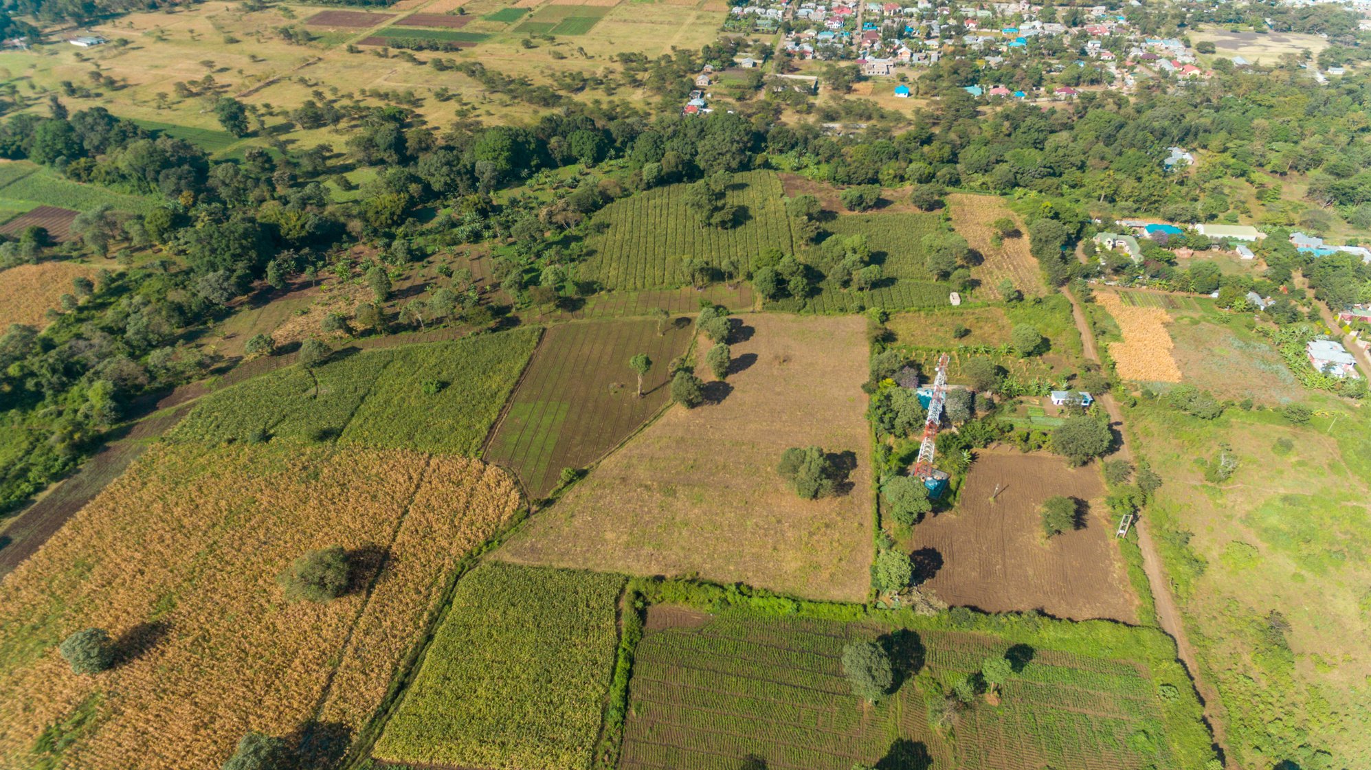 Aerial View of the Rural Area in Arusha City, Tanzania